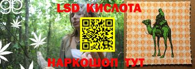 крисы Гагарин