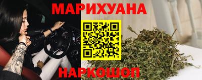 крисы Гагарин