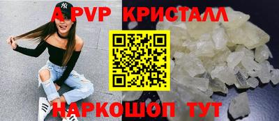 крисы Гагарин
