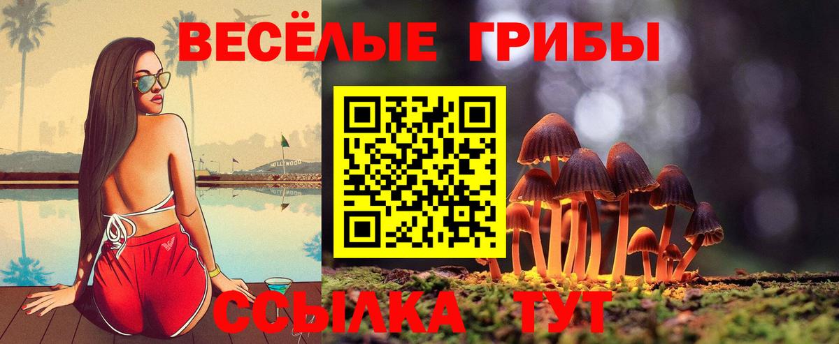 Галлюциногенные грибы прущие грибы  Вход с VPN  Семёнов 